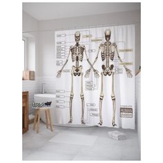 Штора для ванной JoyArty Анатомия человека 180х200 (sc-7009) разноцветный