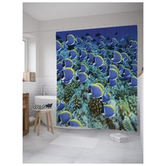 Штора для ванной JoyArty Рыбная экзотика 180х200 (sc-9225) разноцветный
