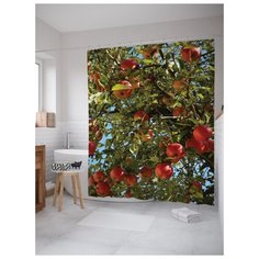Штора для ванной JoyArty Урожай яблок 180х200 (sc-7458) разноцветный