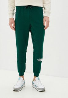 Брюки спортивные The North Face