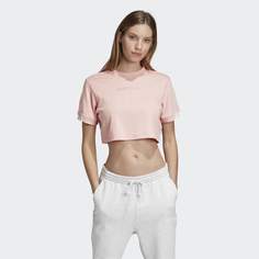 Футболка Coeeze adidas Originals