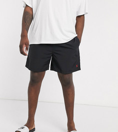 Черные шорты для плавания с логотипом Polo Ralph Lauren Big & Tall Traveler-Черный