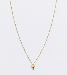 Позолоченное ожерелье с подвеской Orelia-Золотой