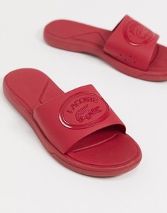 Красные шлепанцы с логотипом Lacoste L30-Красный