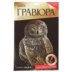 Гравюра Школа талантов Сова