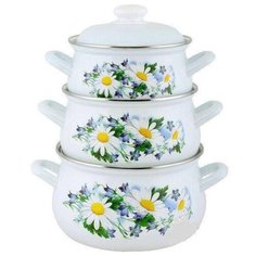 Набор кастрюль Лысьвенский завод эмалированной посуды С-129АП2/4 6 пр. ромашковое поле