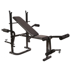 Скамья ROYAL FITNESS BENCH-1520 черный