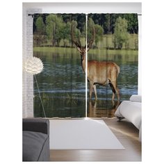 Портьеры JoyArty Олень на водопое на ленте 265 см (p-15533)