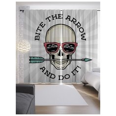 Портьеры JoyArty Поймай стрелу на ленте 265 см (p-13864)