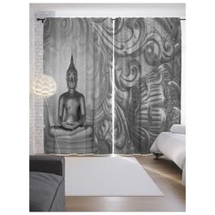 Портьеры JoyArty Очисти свой разум на ленте 265 см (p-13742)