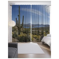 Портьеры JoyArty Долина с кактусами на ленте 265 см (p-15709)