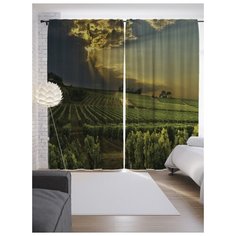 Портьеры JoyArty Виноградник на рассвете на ленте 265 см (p-14845)