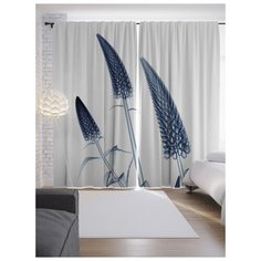 Портьеры JoyArty Дикая трава на ленте 265 см (p-14459)