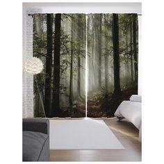 Портьеры JoyArty Лес в тумане на ленте 265 см (p-14905)