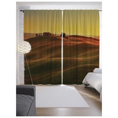 Портьеры JoyArty Дом на холмах на ленте 265 см (p-14591)