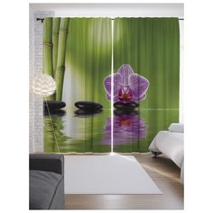 Портьеры JoyArty Плывущие камни на ленте 265 см (p-12501)