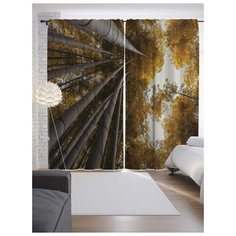 Портьеры JoyArty Лесные кроны на ленте 265 см (p-15784)