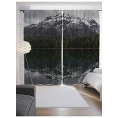 Портьеры JoyArty Отражение свежести на ленте 265 см (p-9288)