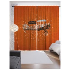 Портьеры JoyArty Свободный полет на ленте 265 см (p-22027)