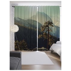 Портьеры JoyArty Одинокая ель на ленте 265 см (p-19024)