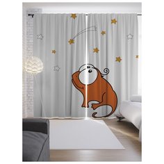 Портьеры JoyArty Загадай желание на ленте 265 см (p-18406)