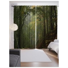 Портьеры JoyArty Спокойный лес на ленте 265 см (p-37350)