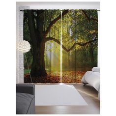 Портьеры JoyArty Последнее тепло на ленте 265 см (p-16589)