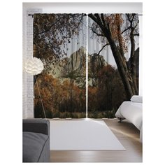 Портьеры JoyArty Недосягаема высь на ленте 265 см (p-19002)