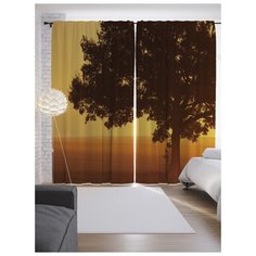 Портьеры JoyArty Древо мудрости на ленте 265 см (p-17232)