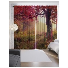 Портьеры JoyArty Туманные поиски на ленте 265 см (p-9349)