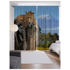 Портьеры JoyArty Вальяжный гепард на ленте 265 см (p-21752)