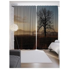 Портьеры JoyArty Путь к туманным холмам на ленте 265 см (p-17238)