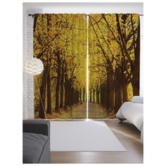 Портьеры JoyArty Осенняя аллея на ленте 265 см (p-9335)