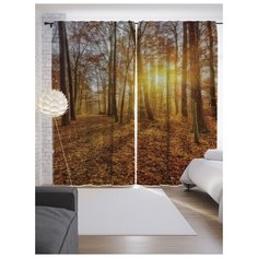 Портьеры JoyArty Лесное покрытие на ленте 265 см (p-8939)