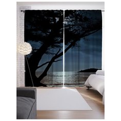 Портьеры JoyArty Лунные мысли на ленте 265 см (p-3531)