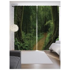 Портьеры JoyArty Ведьмина дорожка на ленте 265 см (p-17139)