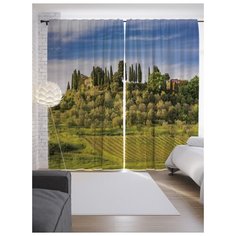 Портьеры JoyArty Город на холме на ленте 265 см (p-9214)