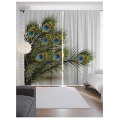 Портьеры JoyArty Перья маскировка на ленте 265 см (p-17195)