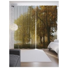 Портьеры JoyArty Осень приближается на ленте 265 см (p-18845)