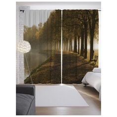 Портьеры JoyArty Речная аллея на ленте 265 см (p-17643)