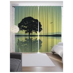 Портьеры JoyArty Лови энергию на ленте 265 см (p-17580)