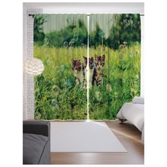 Портьеры JoyArty Котята с пузырями на ленте 265 см (p-6569)