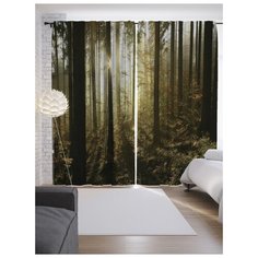 Портьеры JoyArty Место в лесу на ленте 265 см (p-9310)