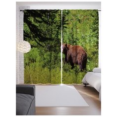 Портьеры JoyArty Медведь в лесу на ленте 265 см (p-4299)