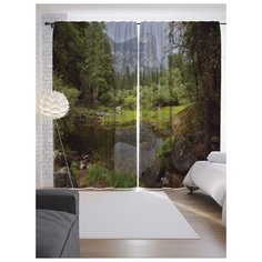 Портьеры JoyArty Живописный вид на ленте 265 см (p-19028)