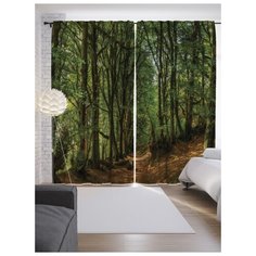 Портьеры JoyArty Тропа из сказки на ленте 265 см (p-16436)