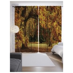 Портьеры JoyArty Древесный коридор на ленте 265 см (p-19306)