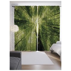 Портьеры JoyArty Лесной свет на ленте 265 см (p-8201)