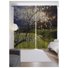 Портьеры JoyArty Цветущая вишня в поле на ленте 265 см (p-17359)