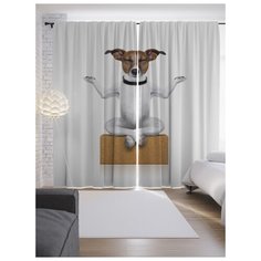 Портьеры JoyArty Медитирующий пес на ленте 265 см (p-9723)